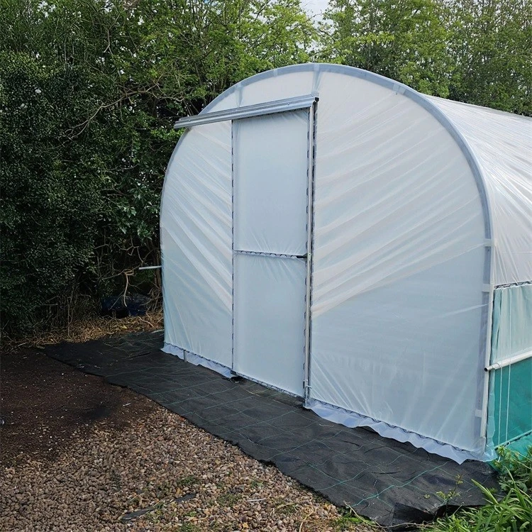 6 mil white plastic greenhouse film (4)