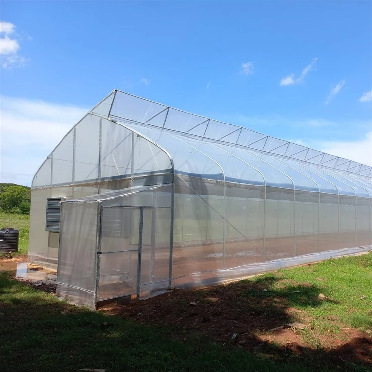 6 mil white plastic greenhouse film (5)