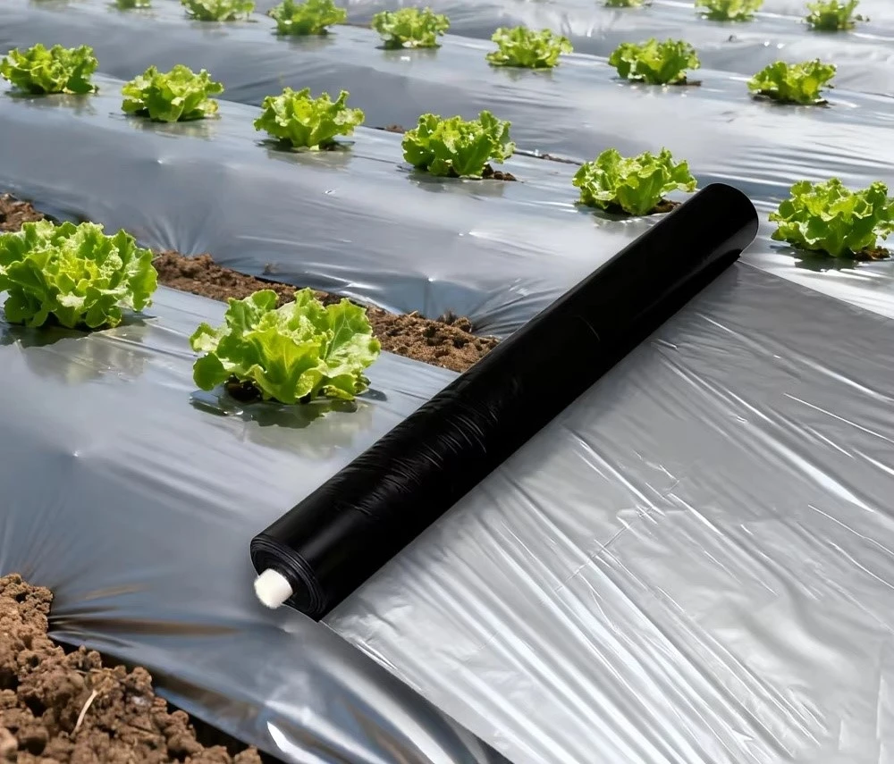 black sliver mulch film black sliver mulch film